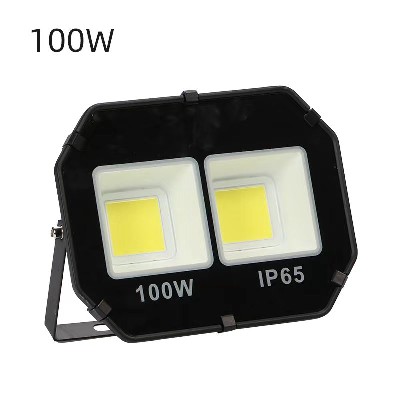 8077-COB-100