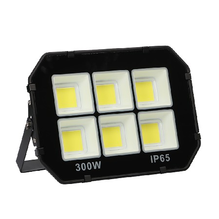 8077-COB-300